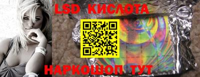 PSILOCYBIN Белореченск