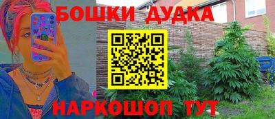PSILOCYBIN Белореченск
