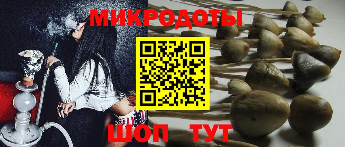 Псилоцибиновые грибы Psilocybe  Ачхой-Мартан  Галлюциногенные грибы Cubensis 