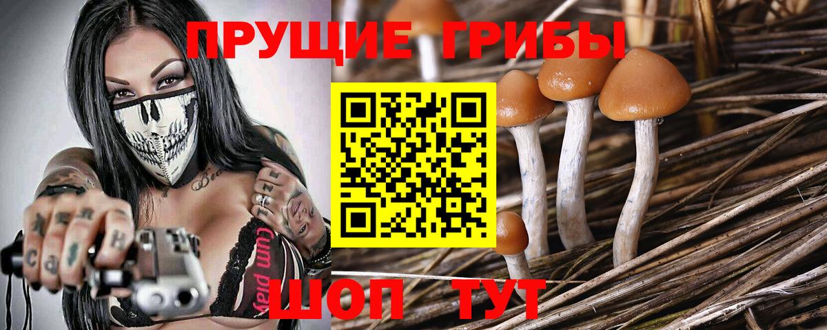 Псилоцибиновые грибы MAGIC MUSHROOMS Ачхой-Мартан