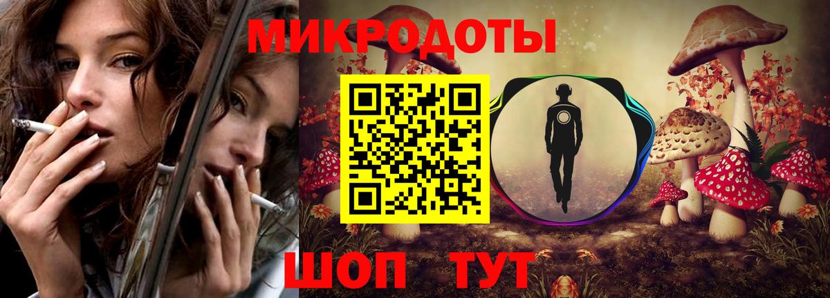 Ачхой-Мартан  Псилоцибиновые грибы Psilocybe  Вход с VPN 