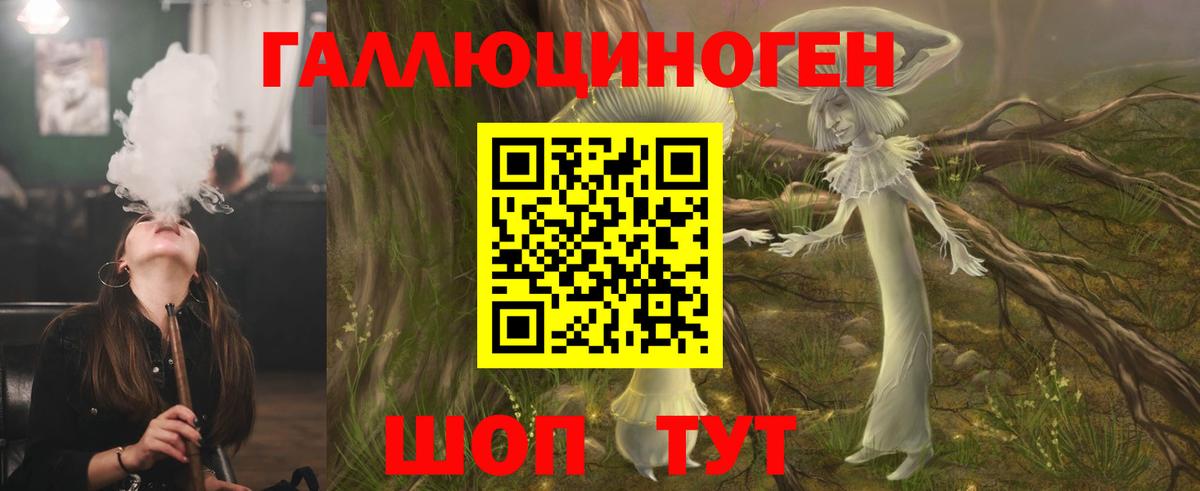 Галлюциногенные грибы прущие грибы Ачхой-Мартан