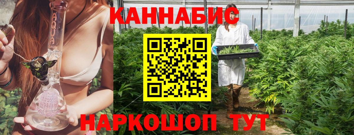 Ачхой-Мартан  Бошки Шишки индика  Марихуана тримм  Конопля OG Kush  Вход с VPN 